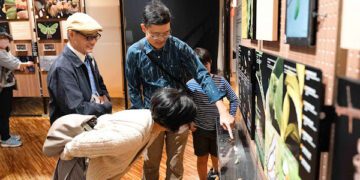 看見鱗翅的奇幻旅程 「島嶼飛行—臺灣蝶蛾生存記」特展臺博館展出