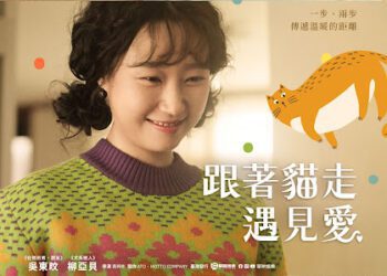 《跟著貓走遇見愛》小貓成為全片最尊貴的巨星 小貓成為全片最尊貴的巨星