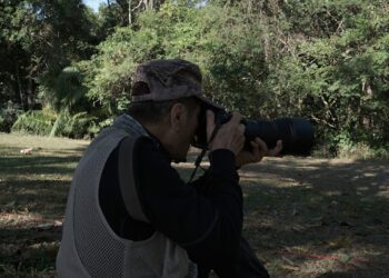 《我在荒野做了一場夢》口碑擴散好評不斷 丁寧看完臉麻又心靜直呼：幸運