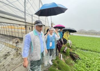 農業部啟動0728豪雨應變機制 協助受災農民復耕復建
